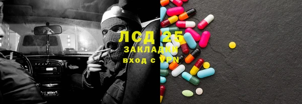 твердый Богданович