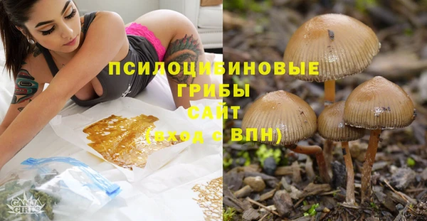 твердый Богданович