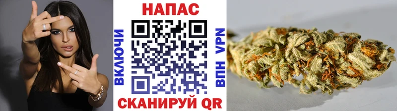kraken зеркало  Берёзовка  Конопля марихуана 